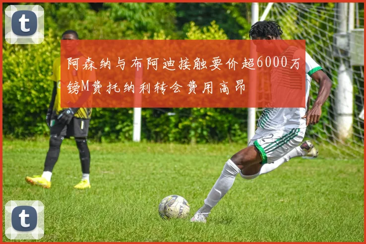 阿森纳与布阿迪接触要价超6000万镑M费托纳利转会费用高昂